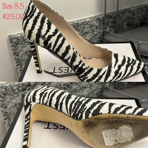 Zebra Pumps